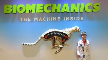 The Curious Kid Professor Explores Biomechanics: The Machine Inside at the Ontario Science Centre