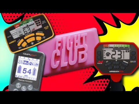 Beginner Metal Detector