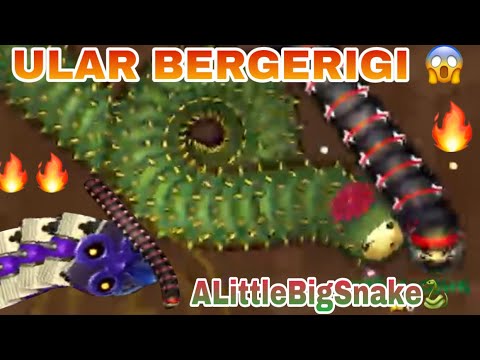 WOW‼️ JEBAK ULAR KAKTUS BIAR JADI RANK SATU ...