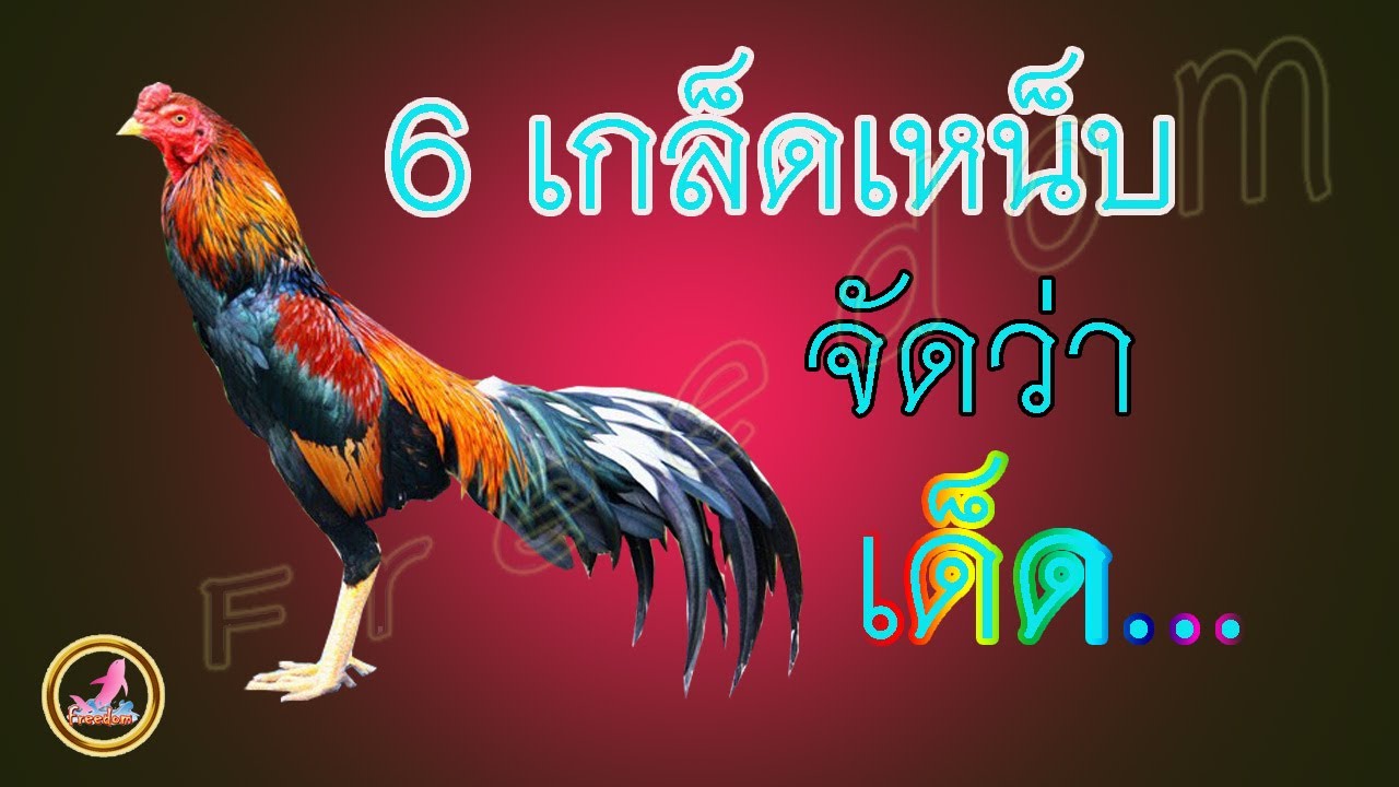 เกล็ดเหน็บพบได้ที่นี่...!!!