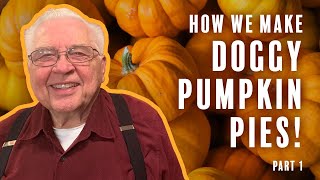 How The Soggy Doggy Prepares Homegrown Pumpkins for Doggy Pumpkin Pies at Thanksgiving and Christmas