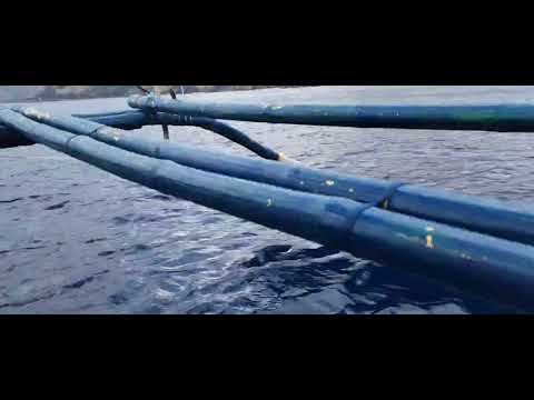 Mapayapang pag lalakbay sa magandang karagatan #viralvideo #video #youtubeshorts #youtube #ytshorts