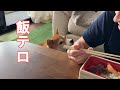 愛犬があざと過ぎてメンタル崩壊しました