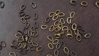 D - Ring Making Machine Testing