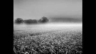 Across the Universe - I am the walrus