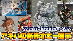 秋葉原ドットコム