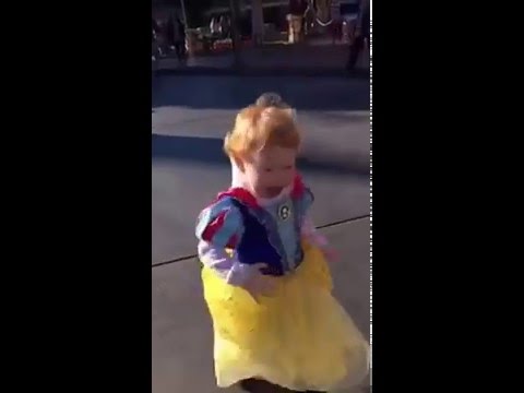 Disneyland in a Nutshell