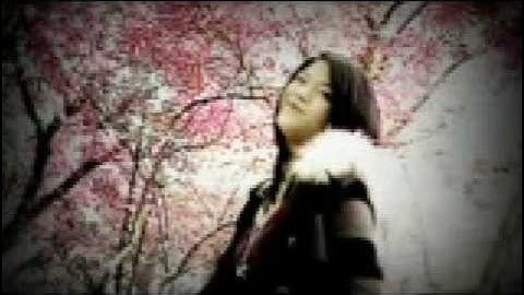 "LEMON TREE - Mellow Motif" (Official Music Video)