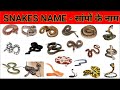 Snakes Name || सांपो के नाम हिंदी और अंग्रेजी | Snake Name with pictures | Snake Names for kids