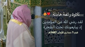 ﴿لقد رضي الله عن المؤمنين﴾ تلاوة جميلة بهدوءها و روعة أداءها الخاشع | فجر 1 جمادى الأولى 1447هـ