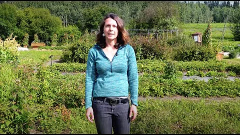 How to Grow Berries - In the Alaska Garden with He...