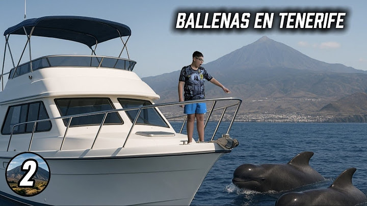 Asi son las ballenas de Tenerife - Tenerife Día 2