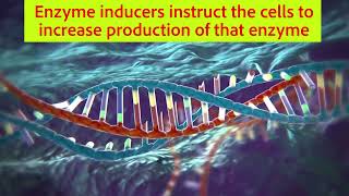Understanding enzymatic inhibitors Part 2
