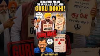 Bhagwant Mann Controversy Explained | Punjab Politics 2026 | Public Reaction