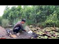 Cắm Câu Cá Lóc Rừng Lê Minh Xuân || Snakehead fishing in the Jungle
