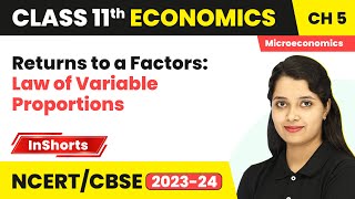Returns to a Factors: Law of Variable Proportions | Class 11 Economics Ch 5 | Production Function