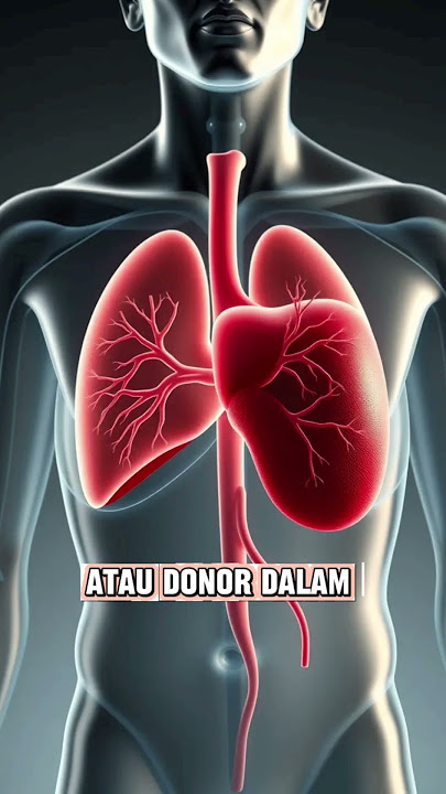 fakta unik organ hati#fakta #faktamenarik #faktaunik #halunik #manusia #organ#hati