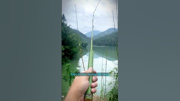 Cách làm cần câu máy từ tre #fishing #cauca