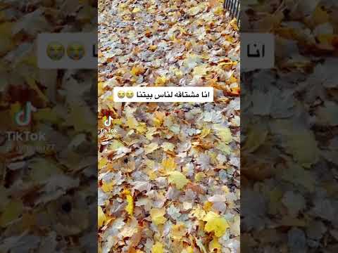 محمود عبدالعزيز كل زول مشتاق لبلده واحبوب
