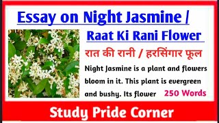 Essay on Raat Ki Rani Flower | Essay on Night Jasmine Flower | Essay on Raat Ki Rani in English