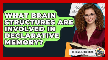 What Brain Structures Are Involved In Declarative Memory? - Ultimate Study Hacks