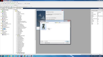 How To Customize Dialogs in an Installscript Project Using Installshield 2010 Premier.