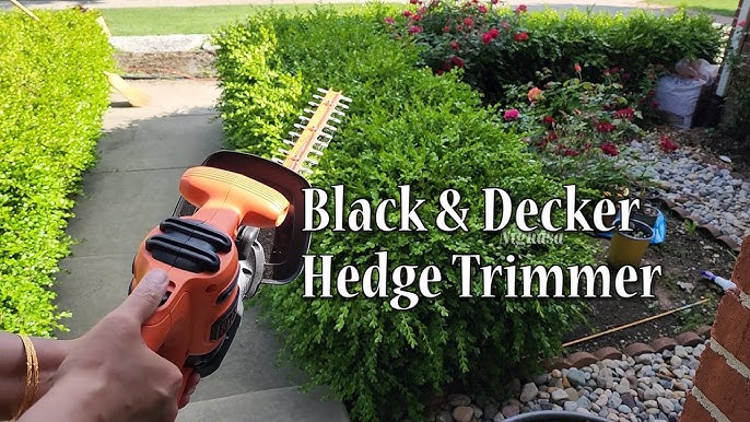 BLACK & DECKER LHT2220 - TRIMMER Acceptable