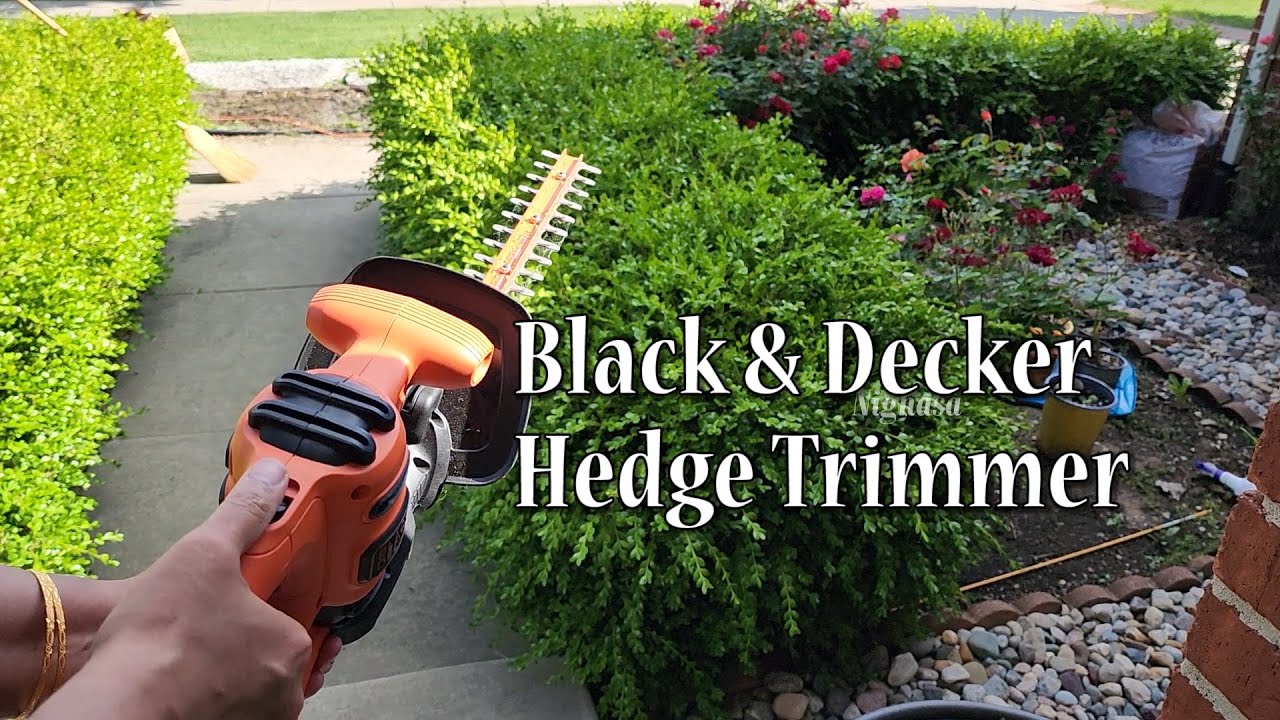 Electric Hedge Trimmer 17-Inch, BLACK+DECKER