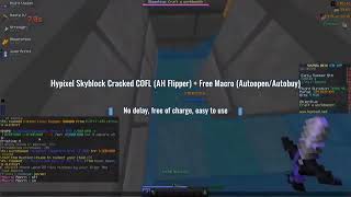 Hypixel Skyblock Auto Auction Flipper QOL Mod Review 1B+ PER DAY