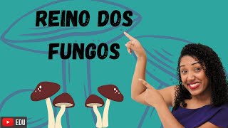 Aula: Reino dos Fungos