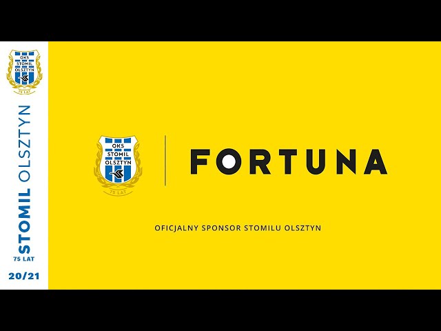 Interfejs logowania Efortuna pokazujący pola email i password