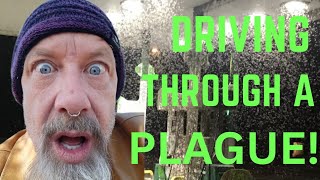 California Town Plagued By Bugs Of Biblical Proportions & My New Car Was Thrashed! by Creepy Crawl with Sobaire 167 views 1 year ago 13 minutes, 6 seconds
