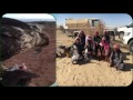 يا سيف مشعل الحبيني شيله 