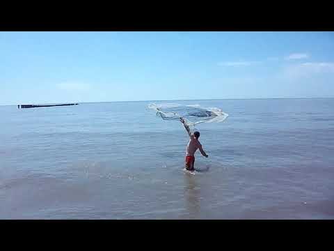 სასროლი ბადით თევზაობა ფოთში|рыбалка кастинговой сетью в поти