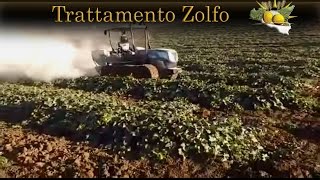 Az. Agricola Paola Milazzo - Trattamento Zolfo