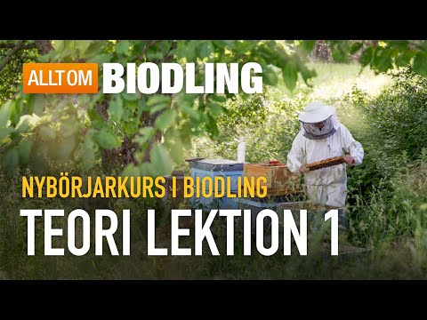 Teori lektion 1/6 - Nybörjarkurs i biodling