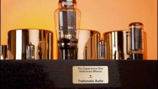 Moiz Audio