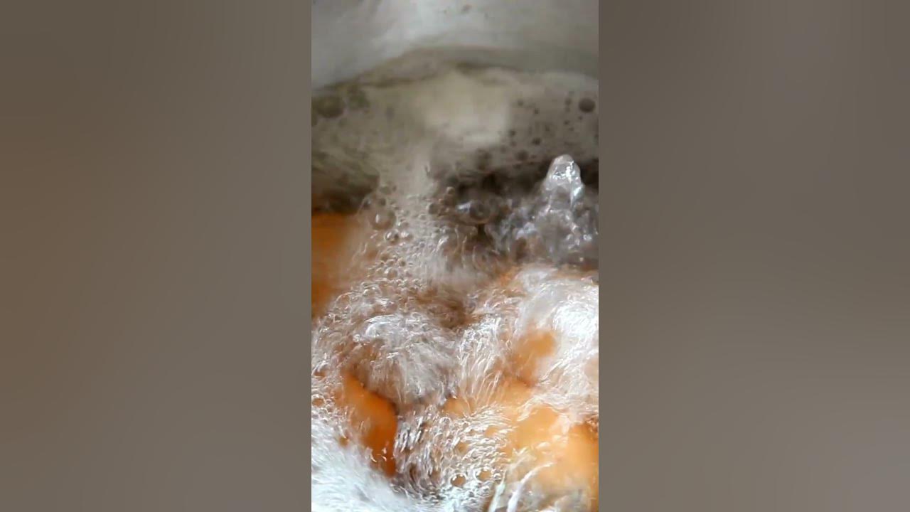 How to Use Boiled Egg Water to Fertilize Your Plants YouTube