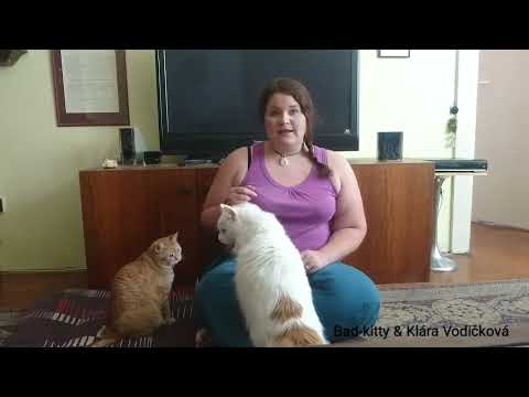 Video: Pohyb S Kočkou