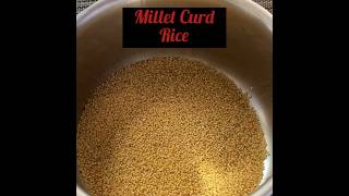 Millet Curd Rice|દહીં વાળી કોદરી|Healthy Weight Loss Recipe#youtubeshort #ytshort #sinkey'sJitvhen