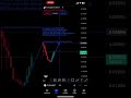 Prediction of flr coin in 2024 shorts flare  tradingview