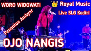 Ambyarr. Ojo Nangis ~Woro Widowati