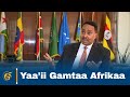 Bu’aa Yaa’iin Gamtaa Afrikaa Itiyoophiyaaf Qabu