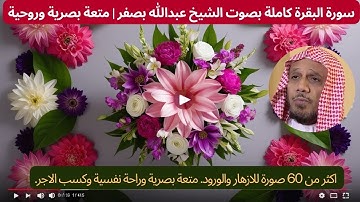 سورة البقرة كاملة بصوت الشيخ عبدالله بصفر! متعة بصرية وروحية