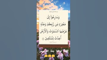 #القران_كريم 🎆#سوره #أل عمران #اكسبلور #لايك🌸 #استغفرالله 🏵️