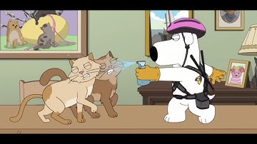 When the DOOM music kicks in | Family Guy part 2