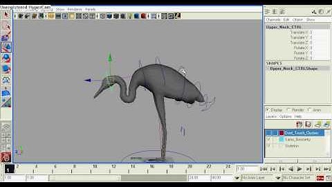 Bird Rigging (Crane).avi