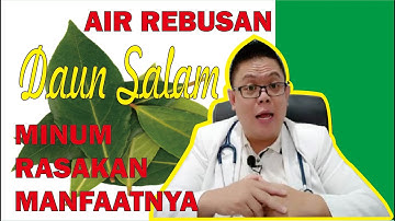 DAUN SALAM, SELAIN MEMBERIKAN CITA RASA PADA MASAKAN, TERNYATA MEMILIKI BANYAK MANFAAT KESEHATAN