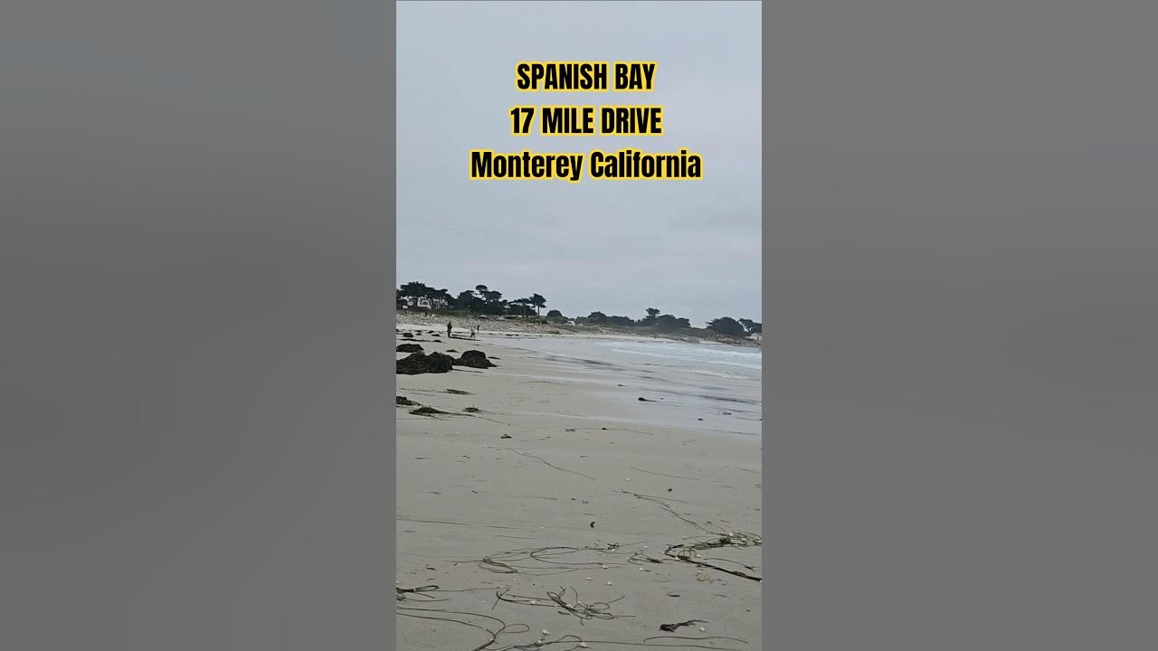 Spanish Bay at 17 Mile Drive| Monterey California Coastal Views #youtubeshorts #SpanishBay #shorts Spanish Bay at 17 Mile Drive| Monterey California Coastal Views #youtubeshorts #SpanishBay #shorts
