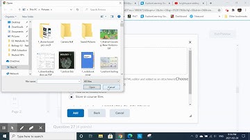 Adding a picture to a brightspace quiz
